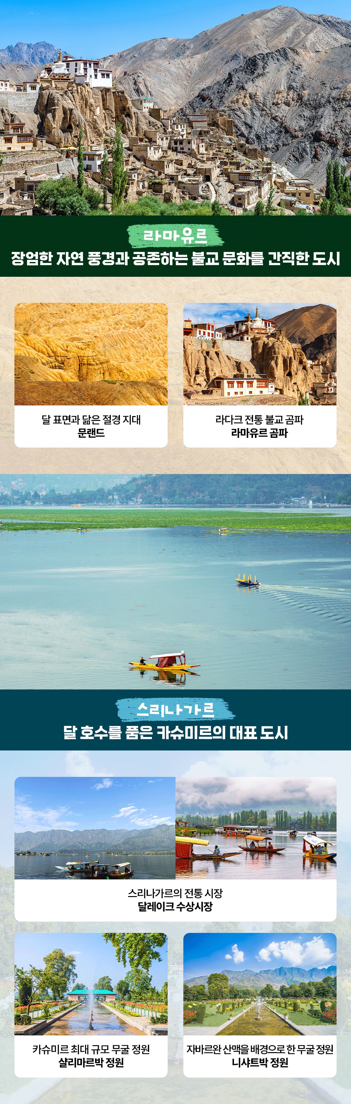 인도여행_북인도_09