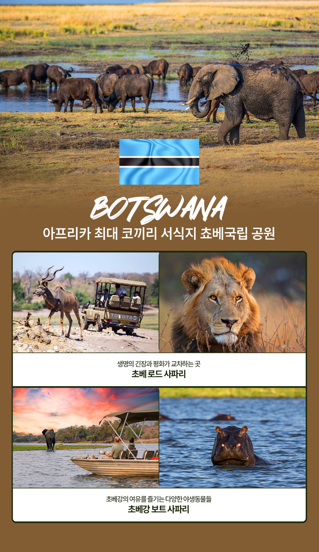 아프리카여행 보츠와나