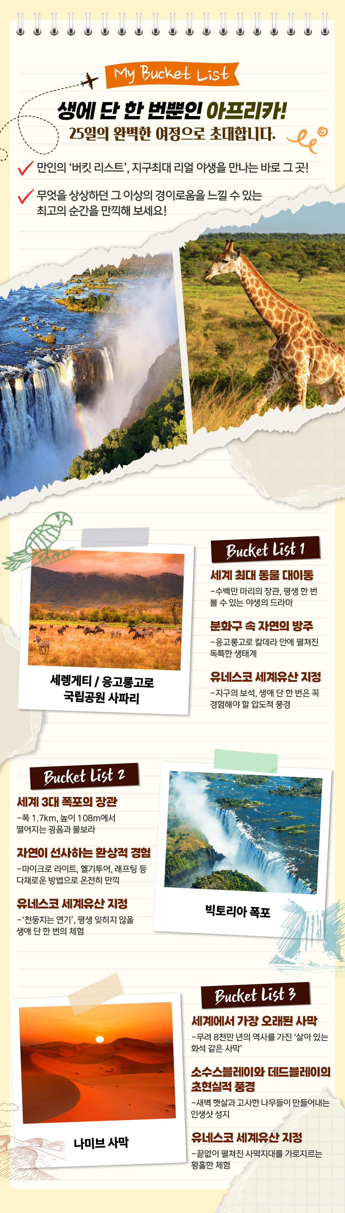 아프리카여행 세렝게티