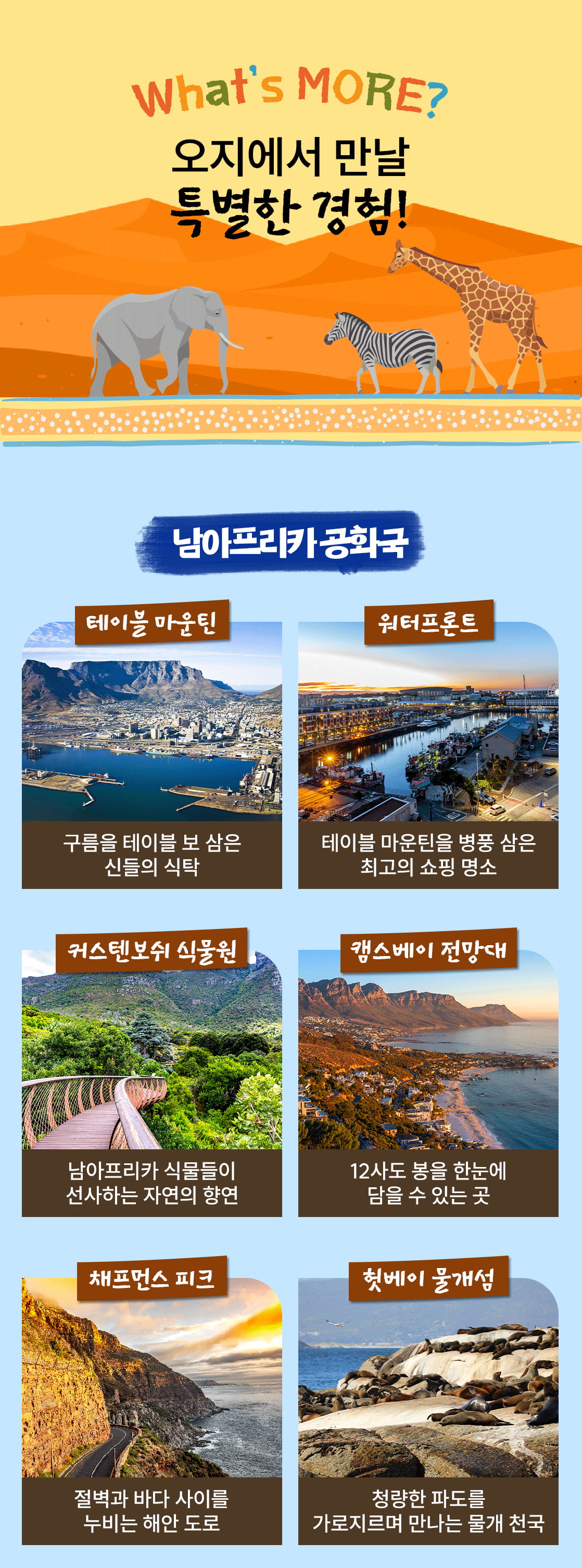 아프리카여행 남아프리카공화국_05_01