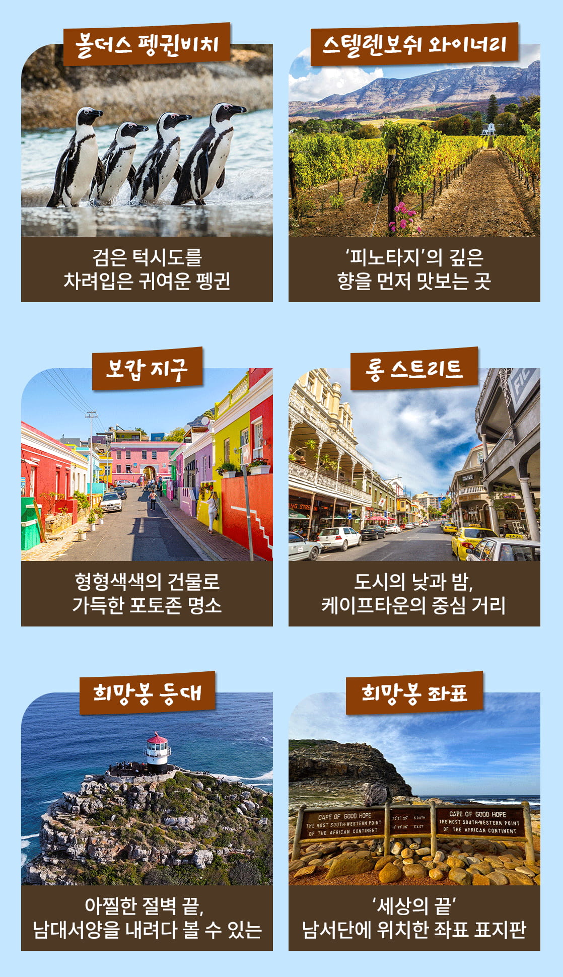 아프리카여행 남아프리카공화국_05_02