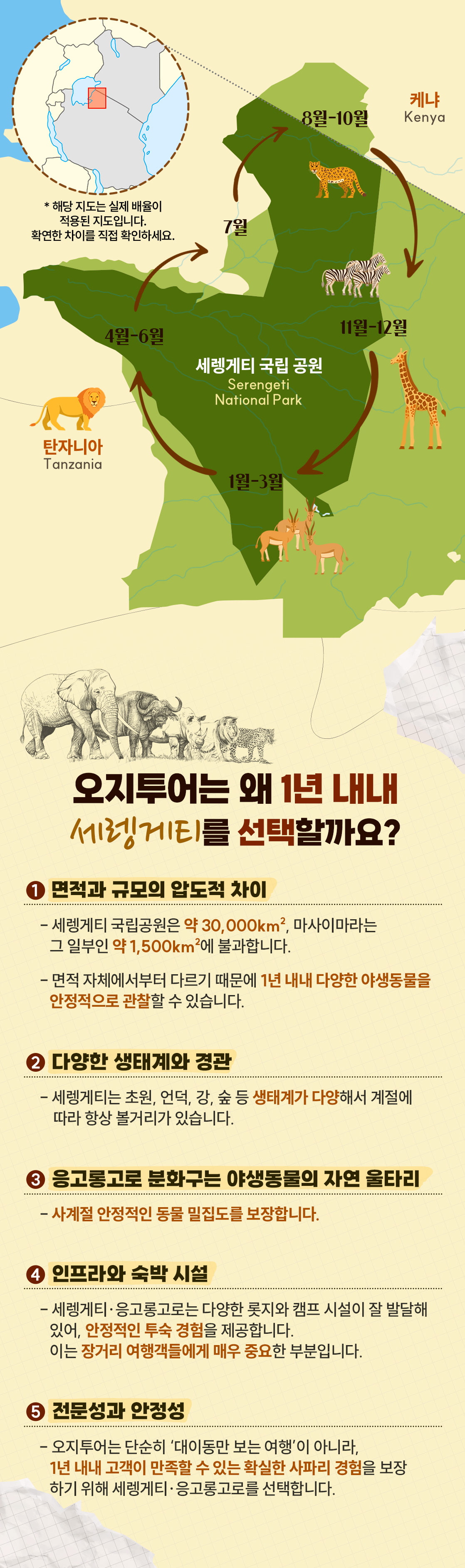아프리카여행 세렝게티