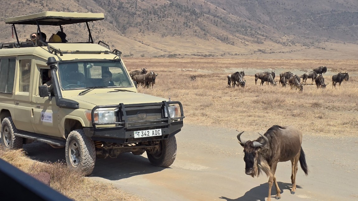  "Out of Africa, always something new"    (Ex Africa semper aliquid novi)