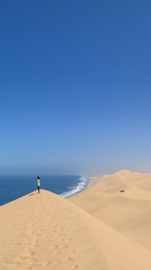 2025년 11/7 리얼아프리카 최고!!