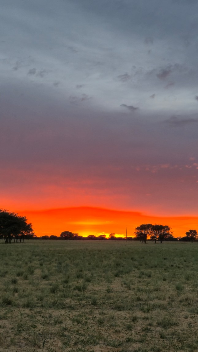 아직도 꿈을 꾸는 37일의 아프리카(25.11,07출발)