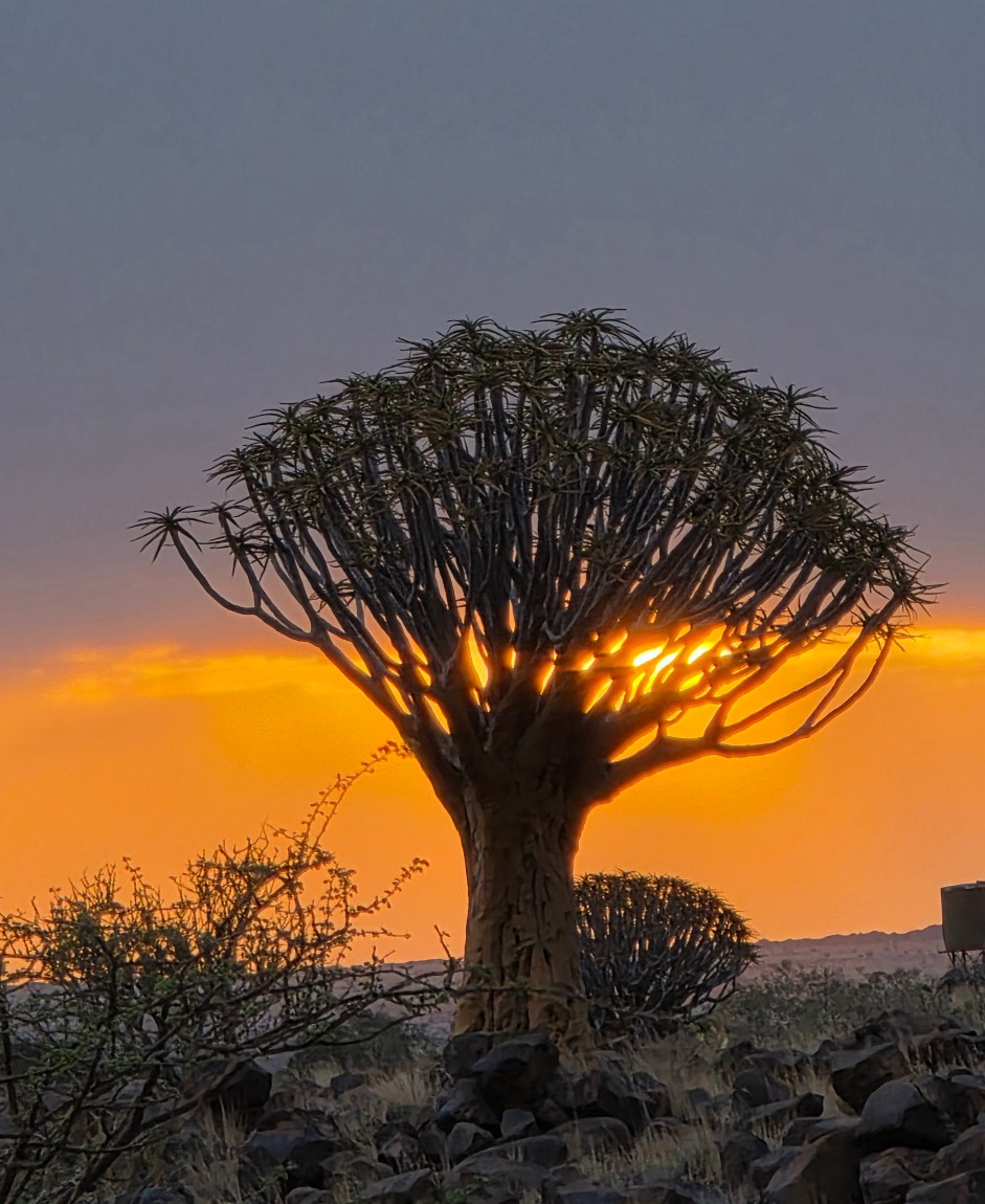 아프리카 리얼 어드벤쳐 37일