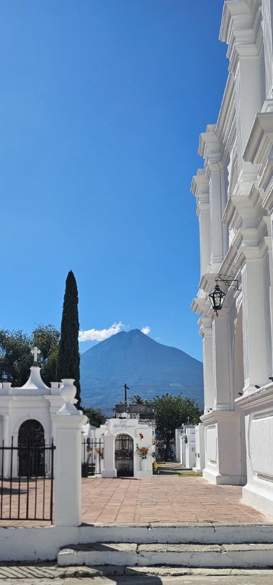 중미 2026년  1월19일  출발(  407회)